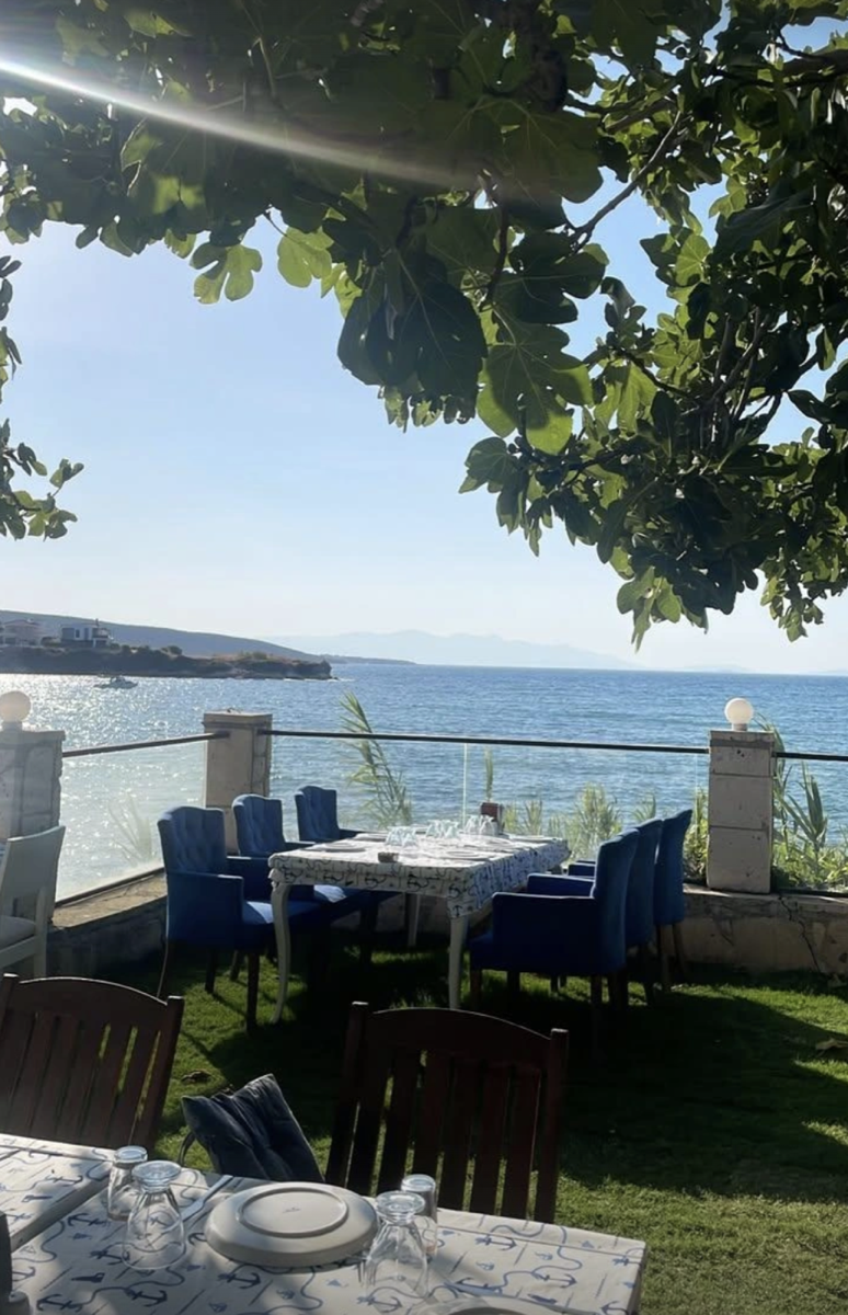 İncir altından sahile bakış